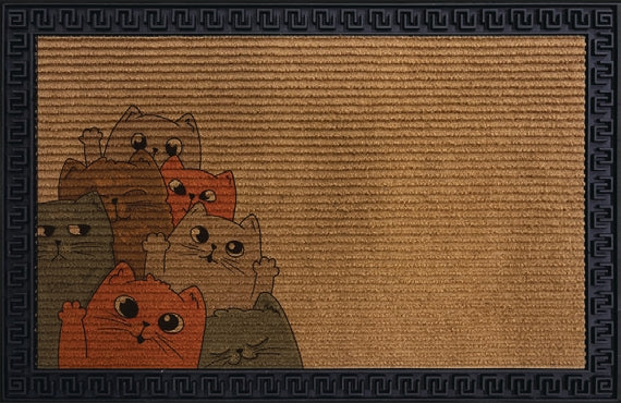 AAH Premium Doormat Bm029