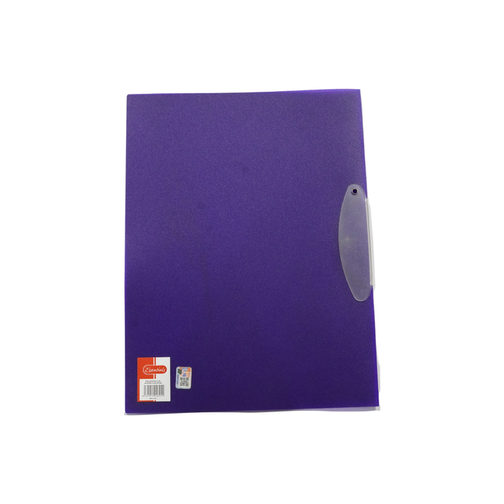 Essentials Frosted Clip A4 Purple 061307Da0