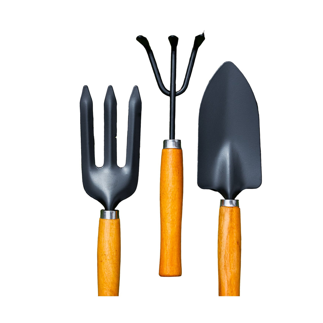 Garden & Hardware Tools