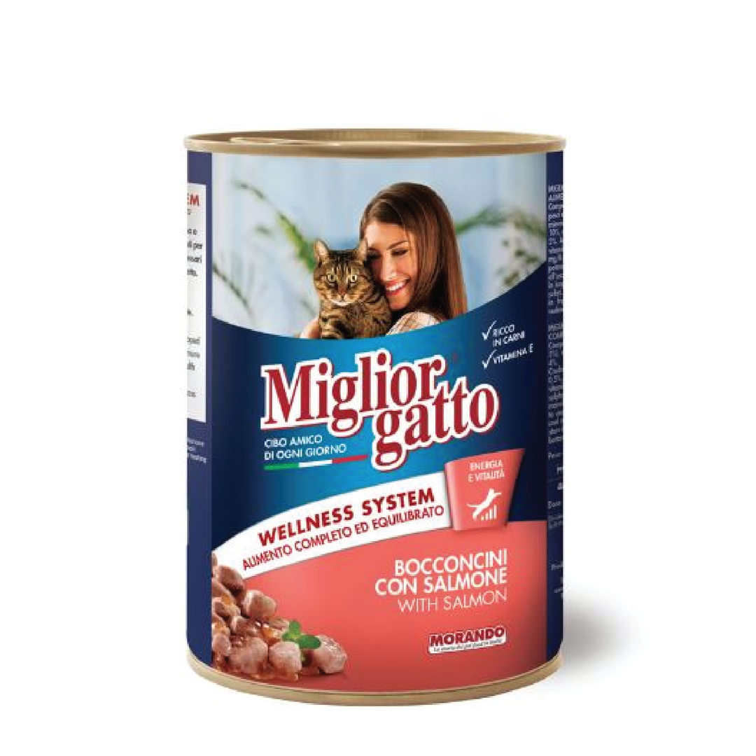 Miglior Cat Can Chunks Salmon 405G