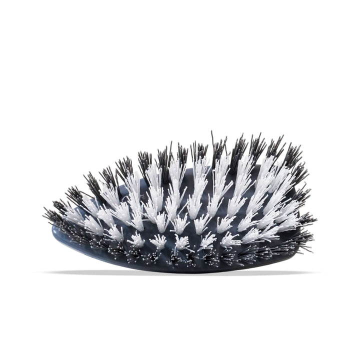 Titiz Swan Brush Tp-149